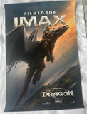 HOW TO TRAIN YOUR DRAGON - 27"x40" Original Movie Poster One Sheet 2015 Live Action