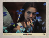 ROMEO + JULIET Original Movie Lobby Card Set of 8 -11x14 Rare Leonardo DiCaprio