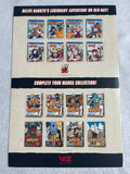 NARUTO 20TH ANNIVERSARY 12"x18" D/S Original Promo TV Poster SDCC 2022 MINT Viz Media