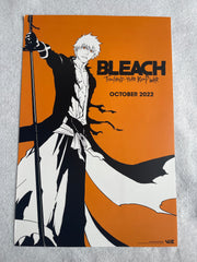 bleachsdcc22_medium.jpg?v=