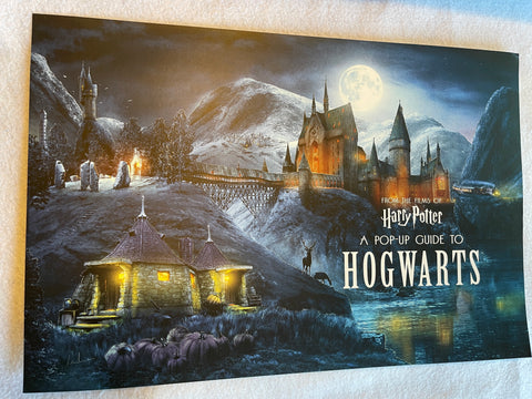 A POP-UP GUIDE TO HOGWARTS 12"x18" Original Promo Poster SDCC 2018 Harry Potter